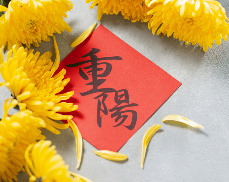 九hjc黄金城阳 温暖相伴 岁岁年年